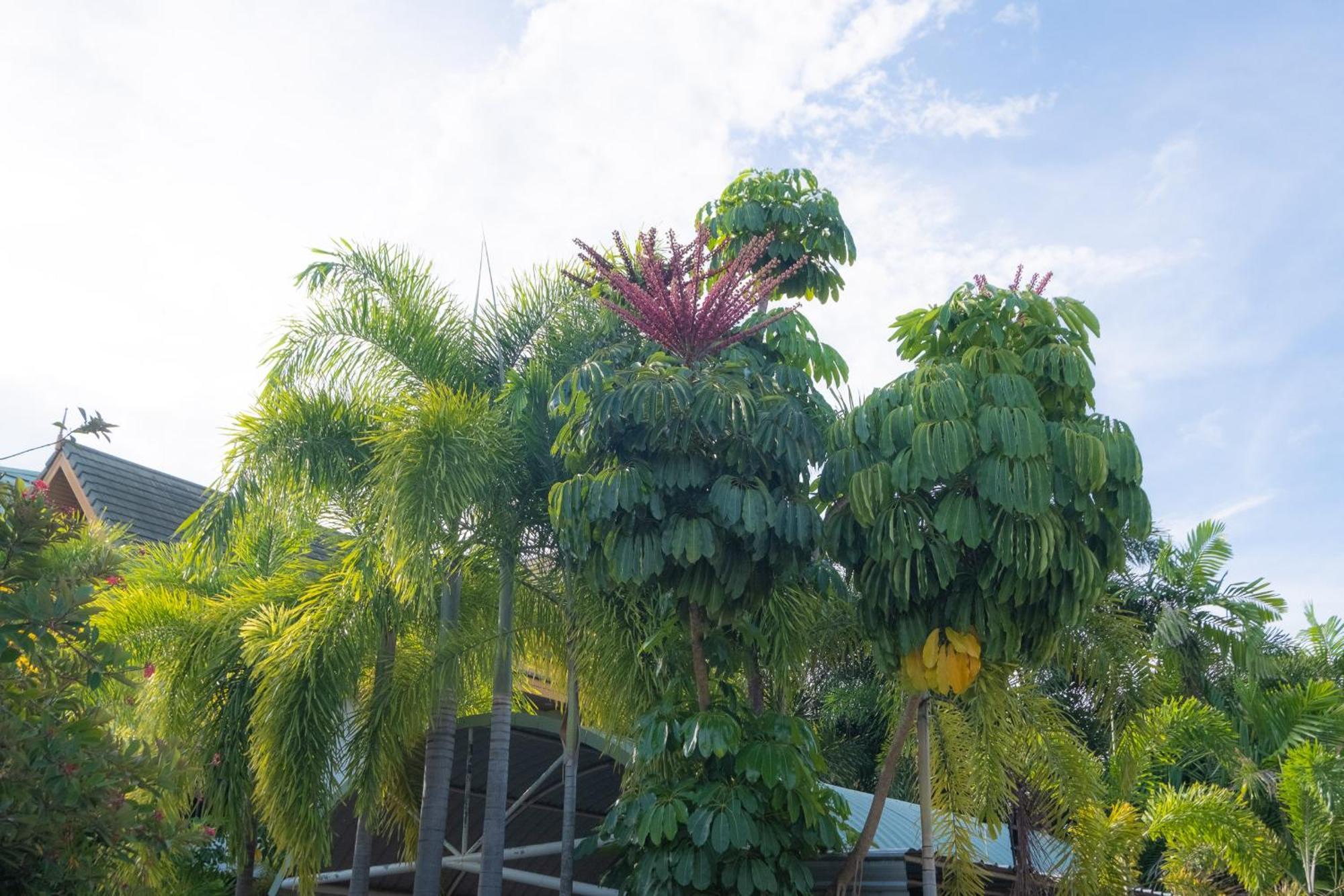 Blue Beach Grand Resort And Spa In Chalong Phuket By Dayuu Ban Saiyuan Экстерьер фото